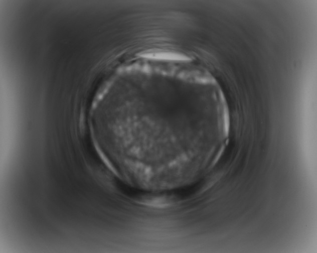 X0000085300267200703302007