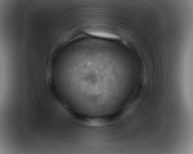 X0000085300268200703302007