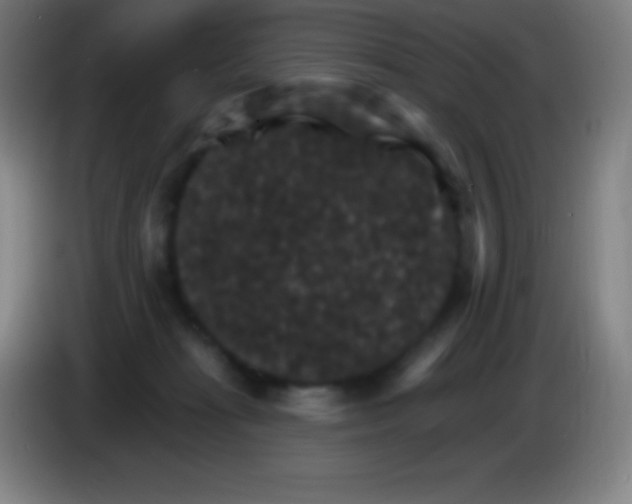 X0000085300269200703302007
