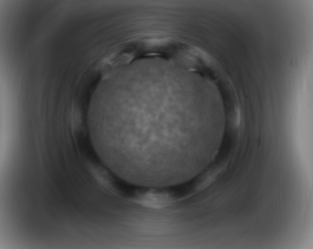 X0000085300270200703302007