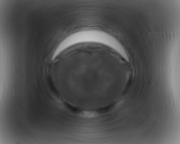 X0000085300272200703302007