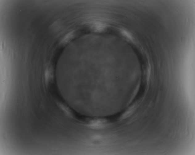 X0000085300274200703302007