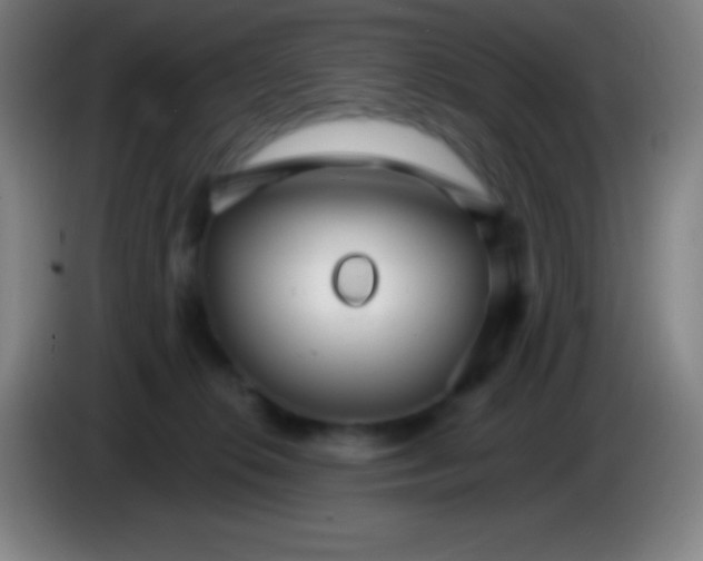 X0000085300276200703302007