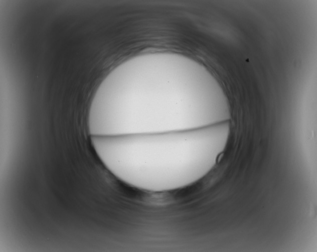 X0000085300277200703302007