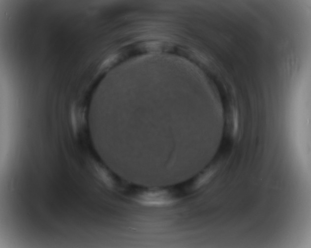 X0000085300278200703302007