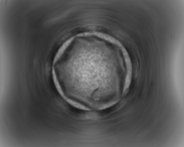 X0000085300279200703302007