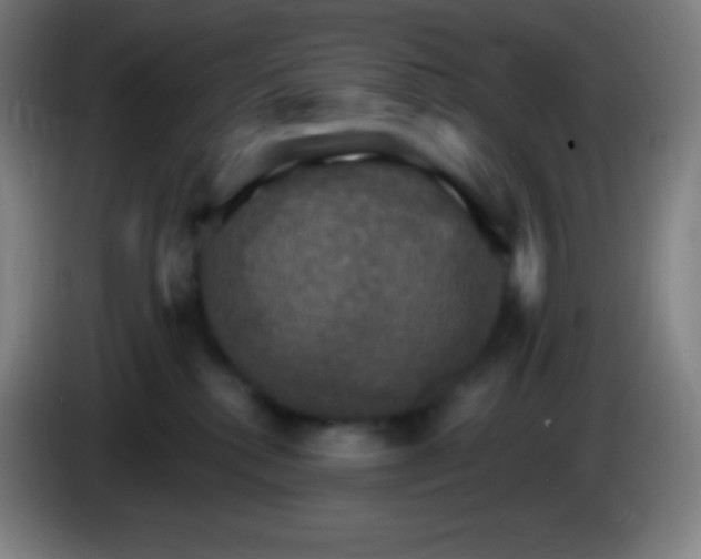 X0000085300280200703302007