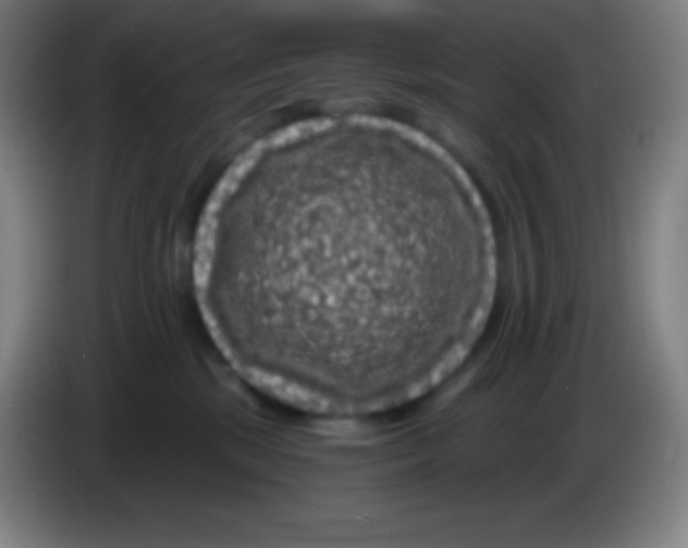 X0000085300281200703302007