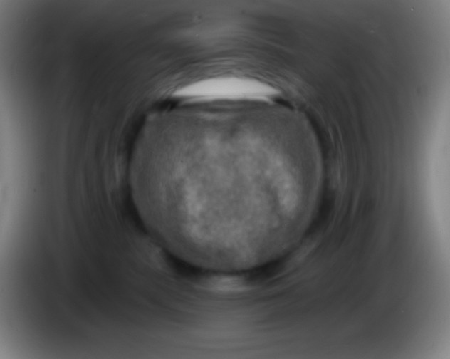 X0000085300283200703302007