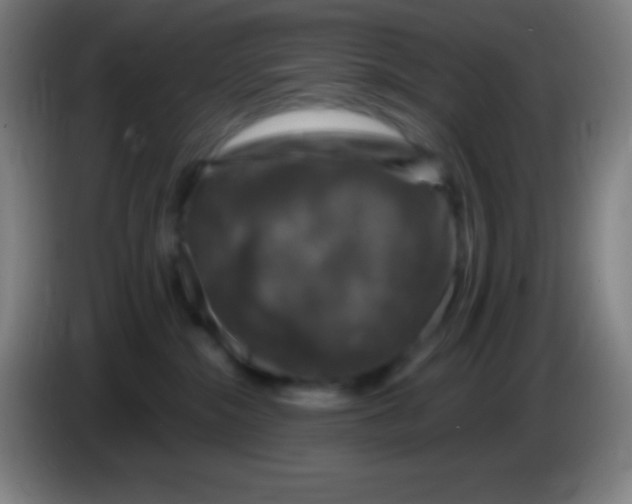 X0000085300284200703302007