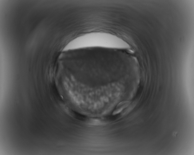 X0000085300285200703302007