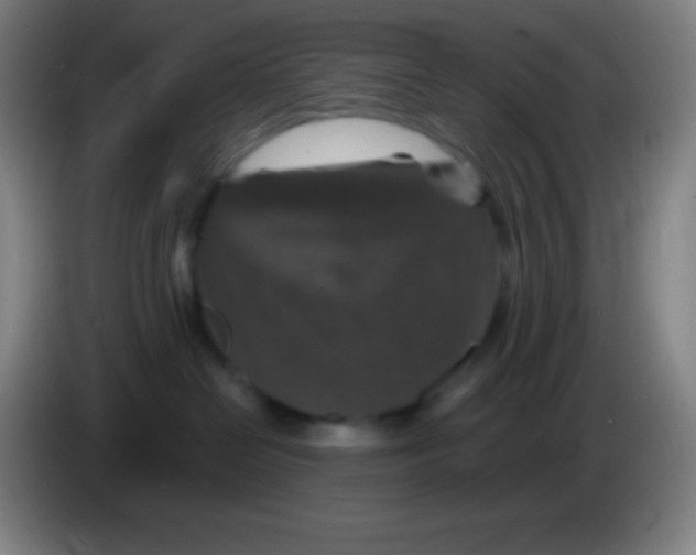 X0000085300286200703302007