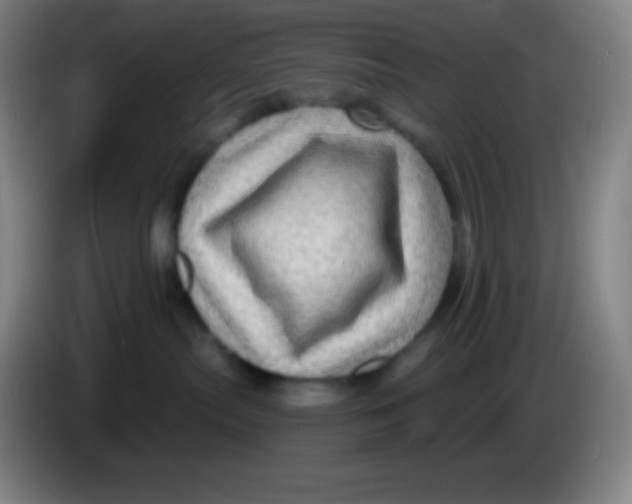 X0000085300287200703302007