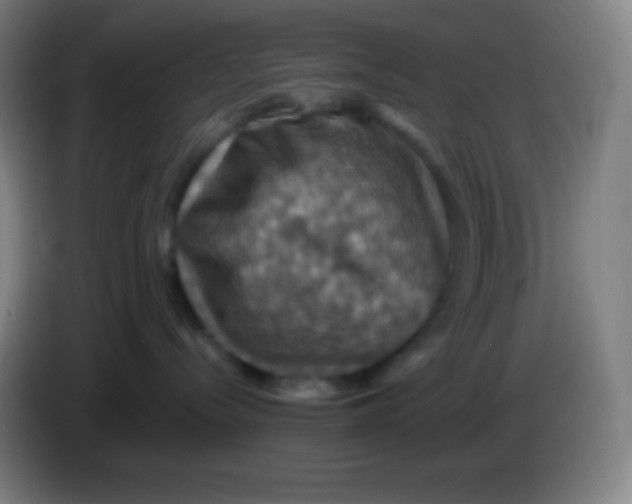X0000085300288200703302007