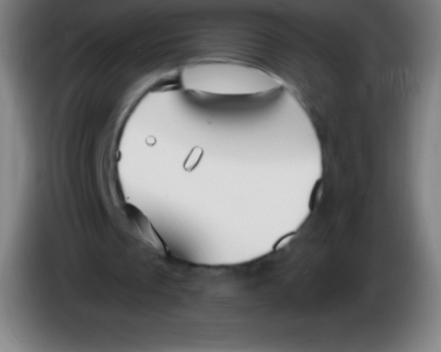 X0000085300289200703302007