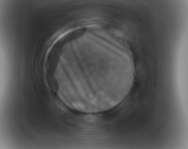 X0000085300290200703302007