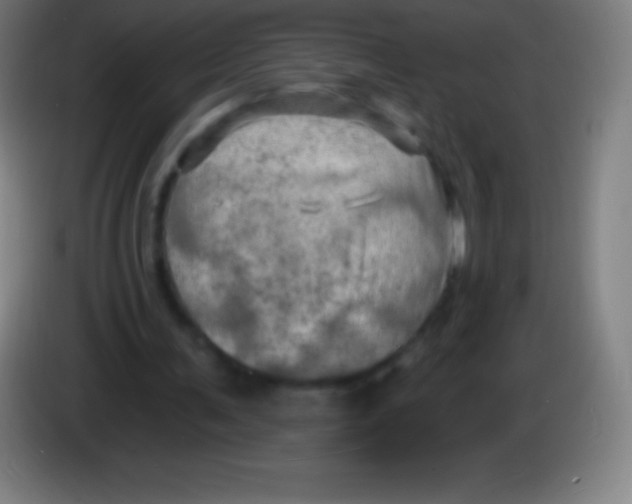 X0000085300291200703302007