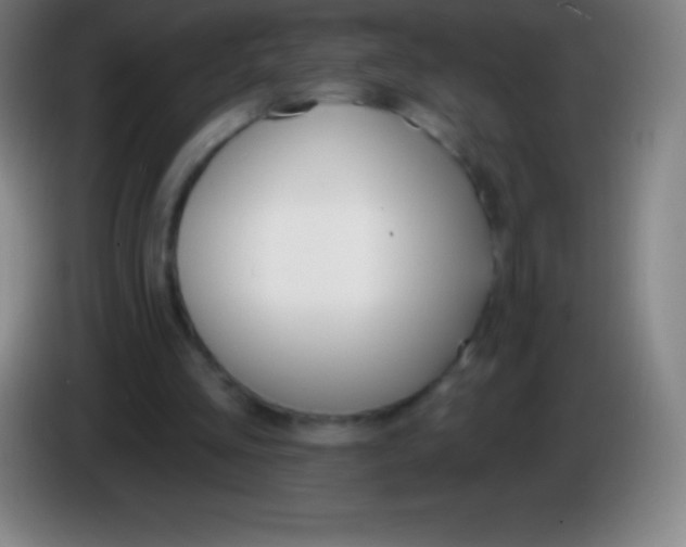 X0000085300293200703302007