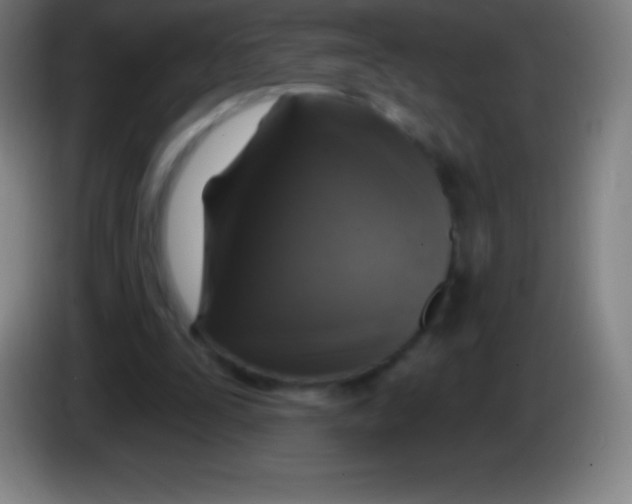 X0000085300295200703302007