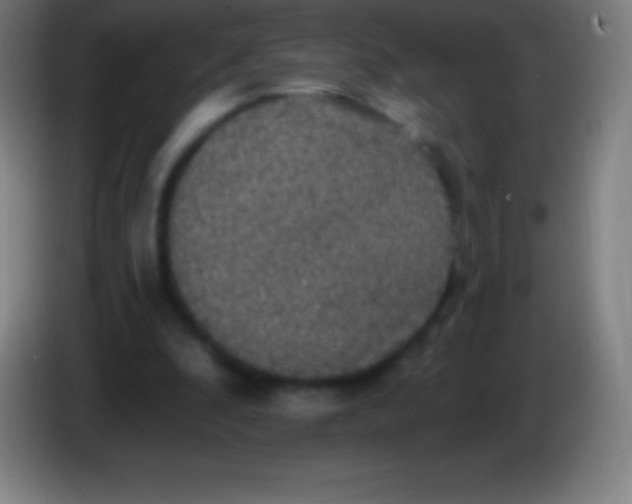 X0000085300296200703302007