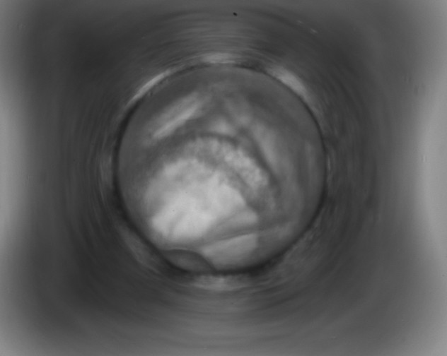 X0000085300297200703302007