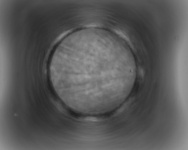 X0000085300298200703302007