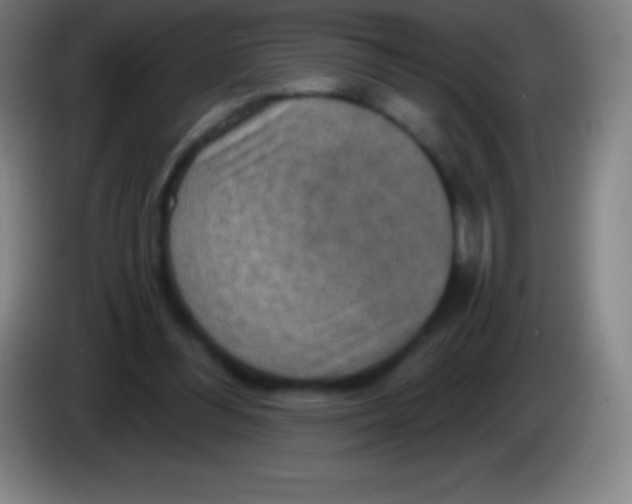 X0000085300300200703302007