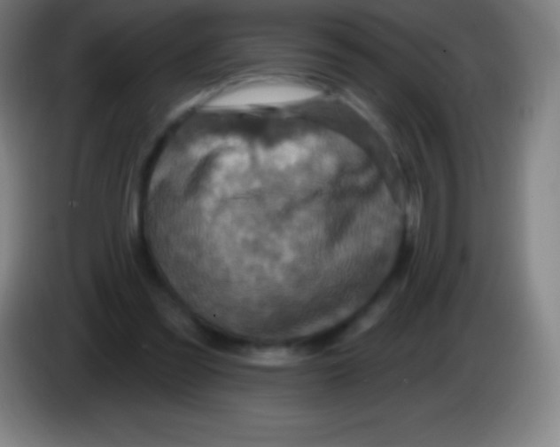 X0000085300301200703302007