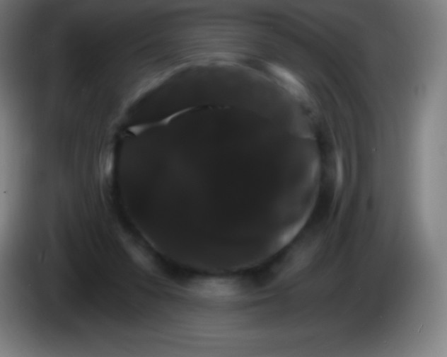 X0000085300303200703302007