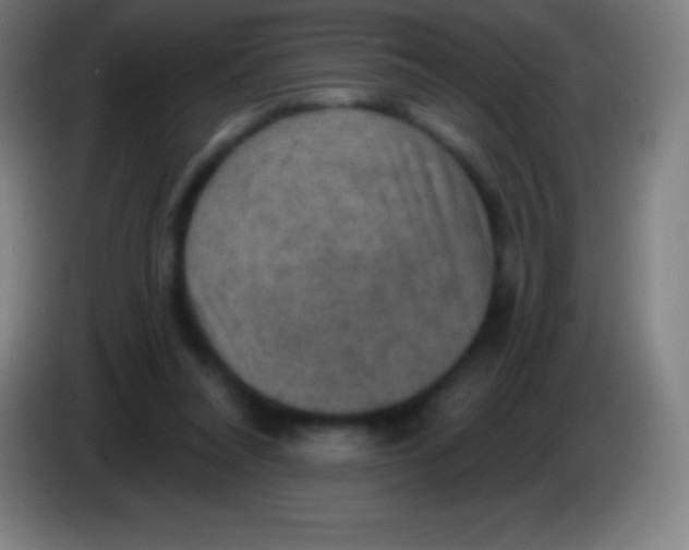 X0000085300304200703302007