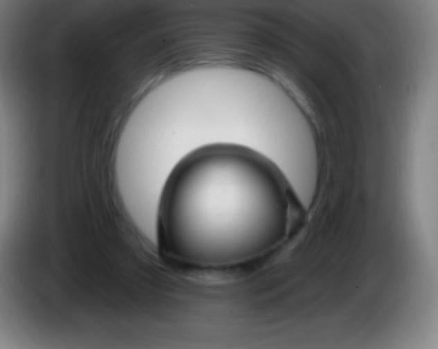 X0000085300305200703302007