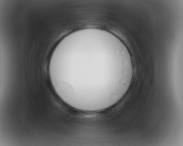 X0000085300306200703302007