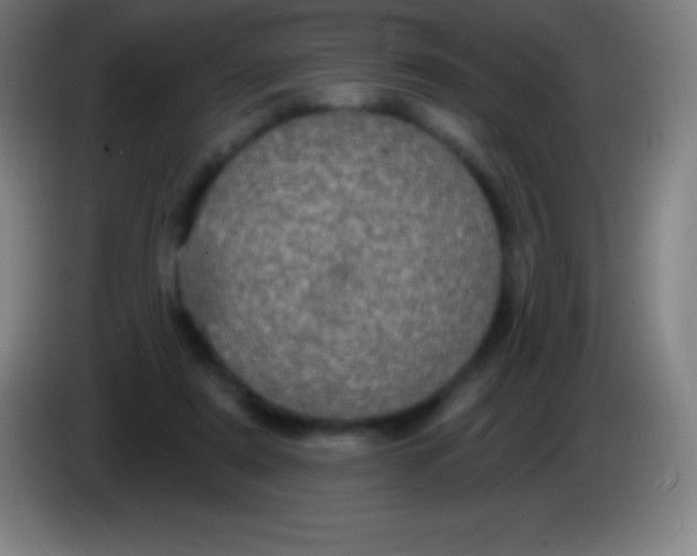 X0000085300307200703302007