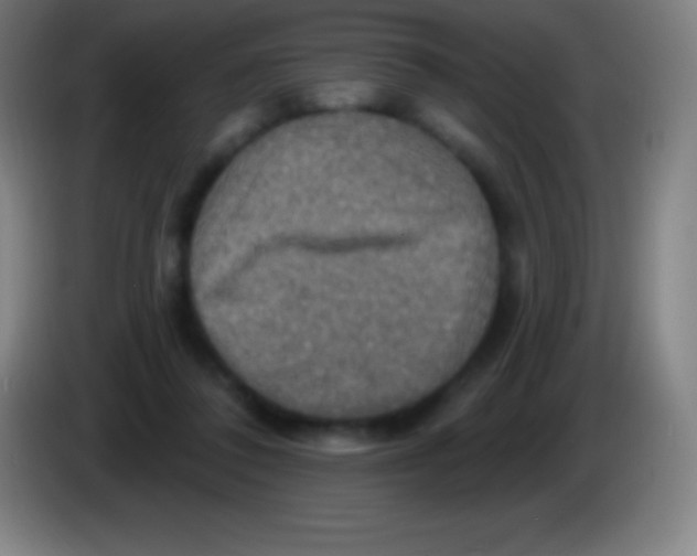 X0000085300308200703302007