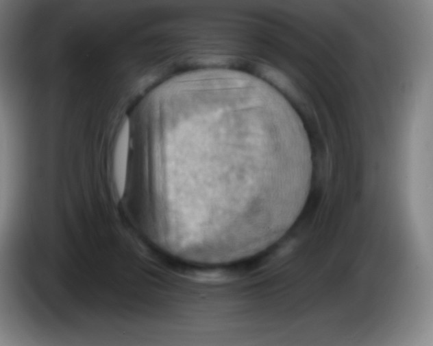 X0000085300309200703302007