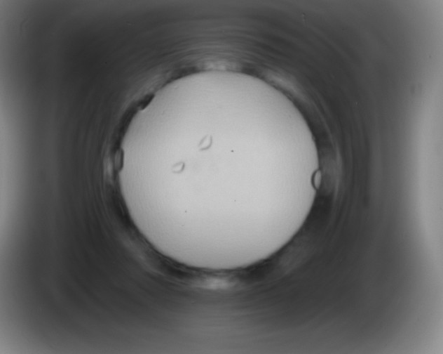 X0000085300310200703302007