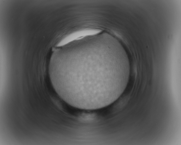 X0000085300311200703302007