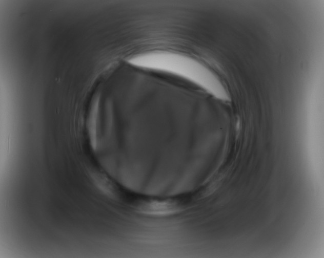 X0000085300314200703302006