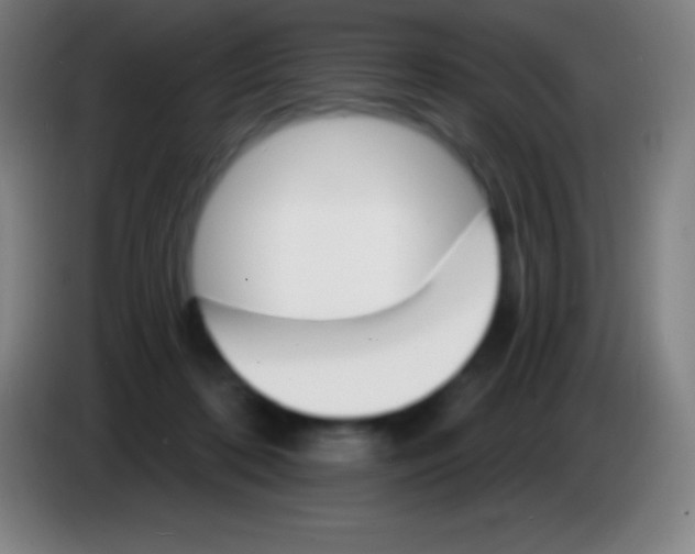 X0000085300316200703302006