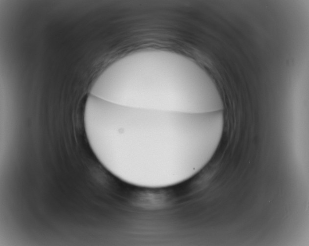 X0000085300317200703302006