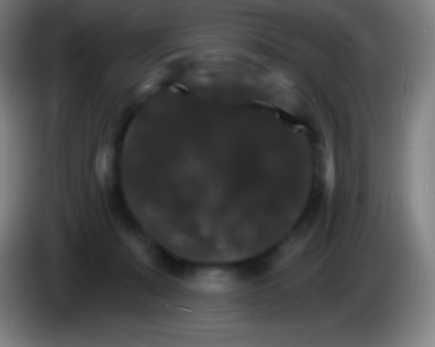 X0000085300319200703302006