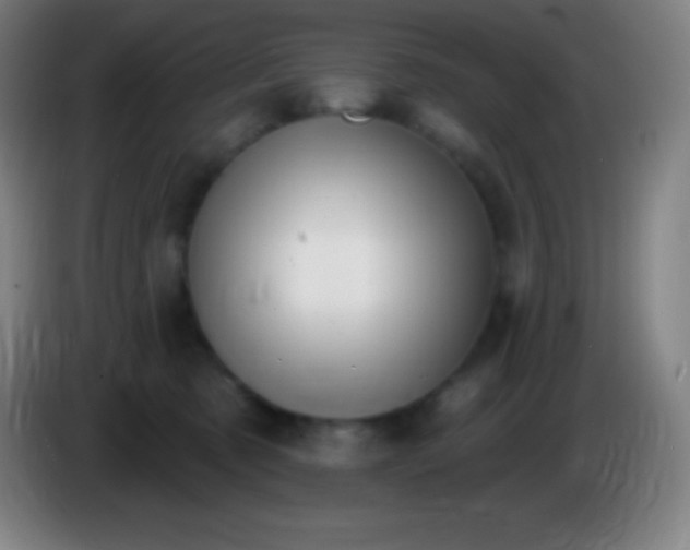 X0000085300321200703302006