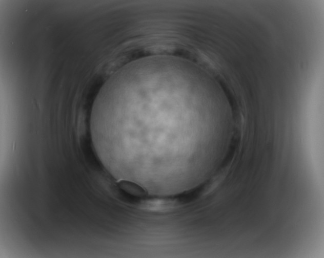 X0000085300323200703302006
