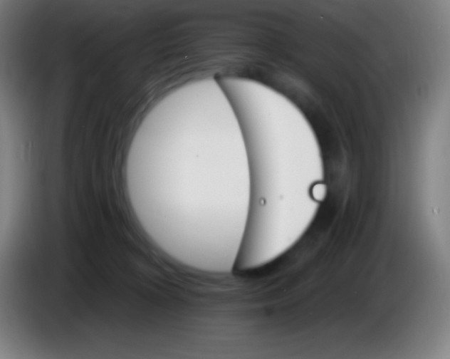 X0000085300324200703302006