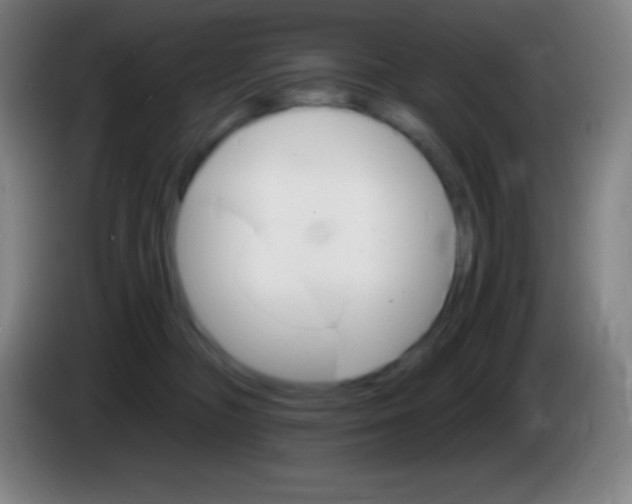 X0000085300326200703302006