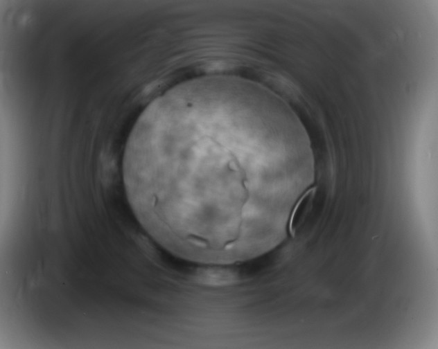 X0000085300327200703302006