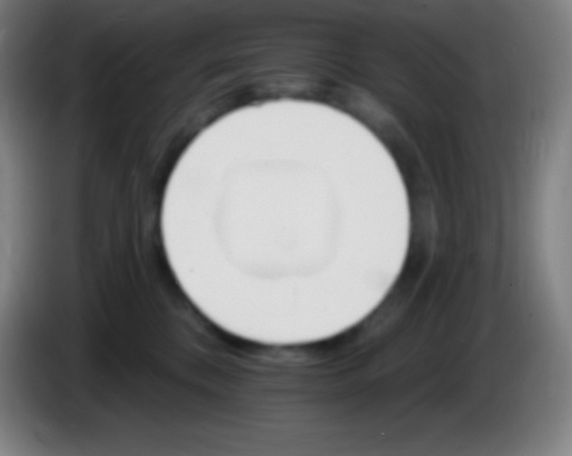 X0000085300328200703302006