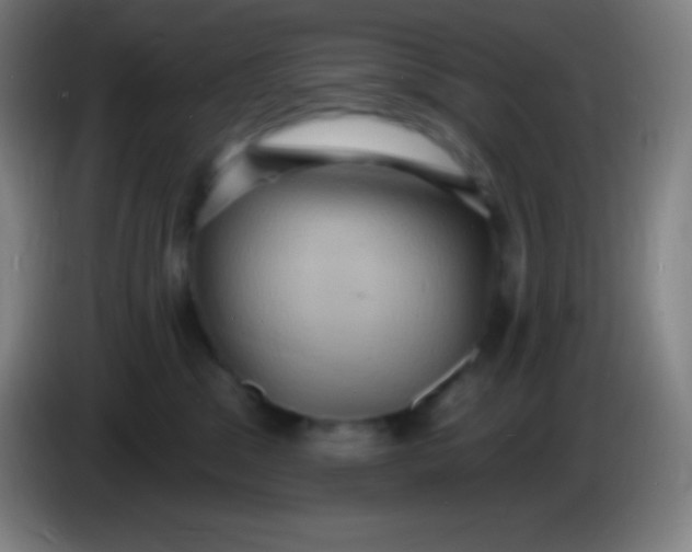 X0000085300329200703302006
