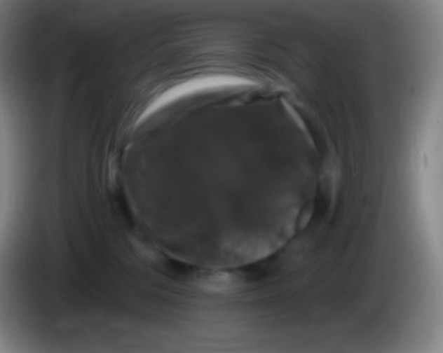 X0000085300330200703302006