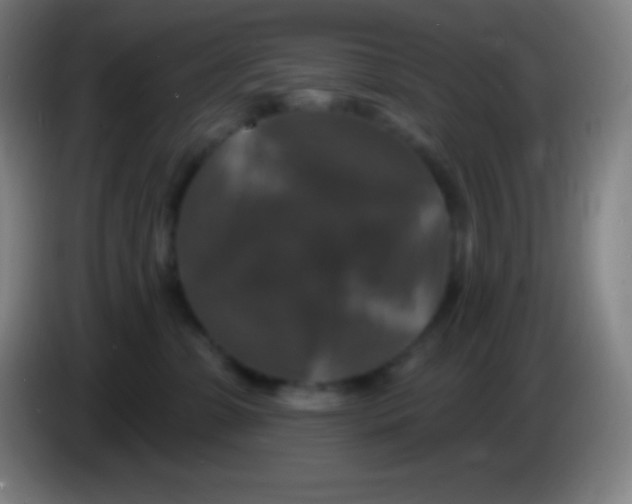 X0000085300331200703302006